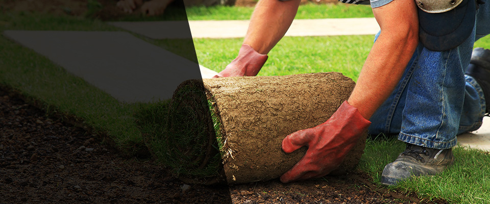 Kempner Landscapers